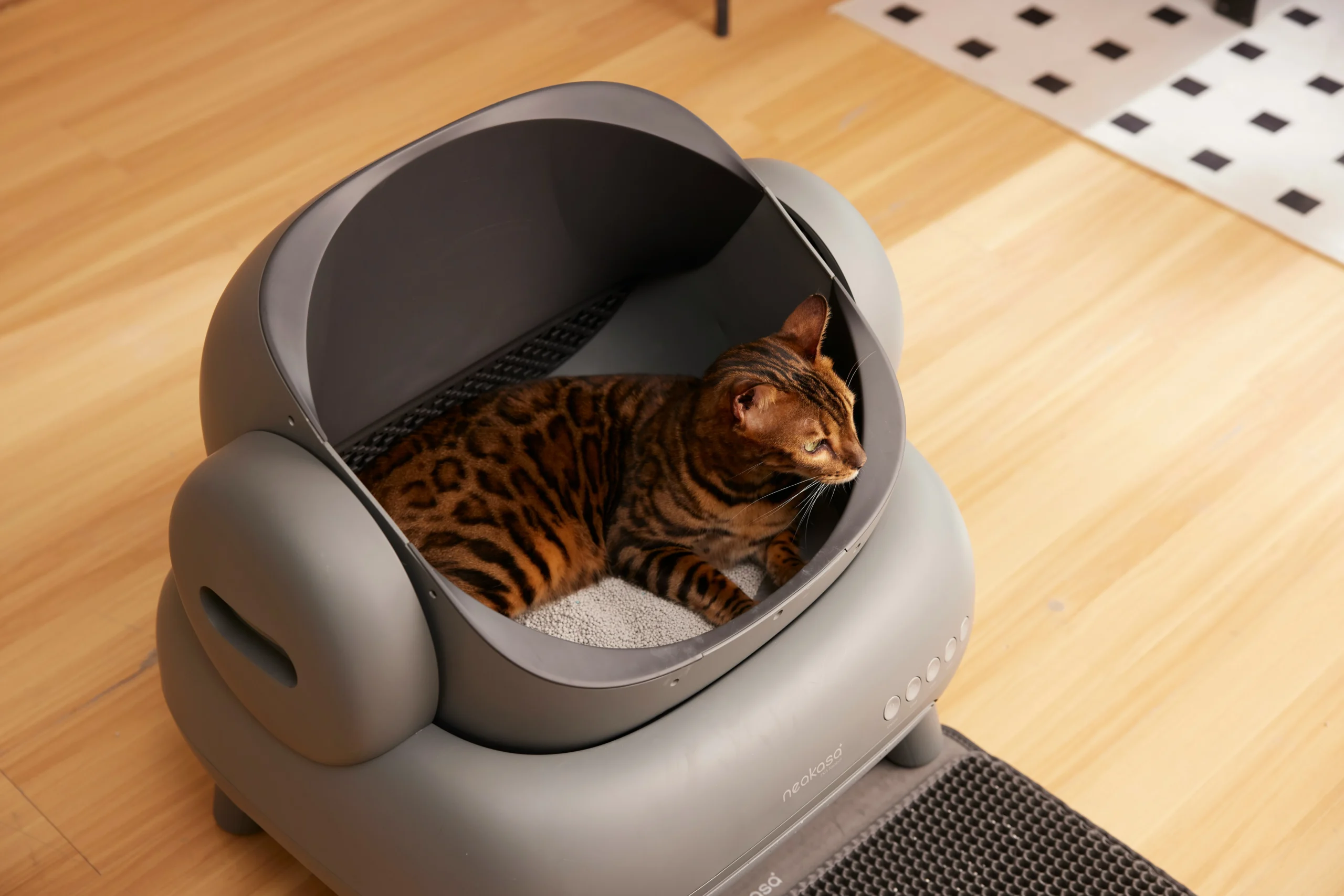 Gato usando caixa de areia automática